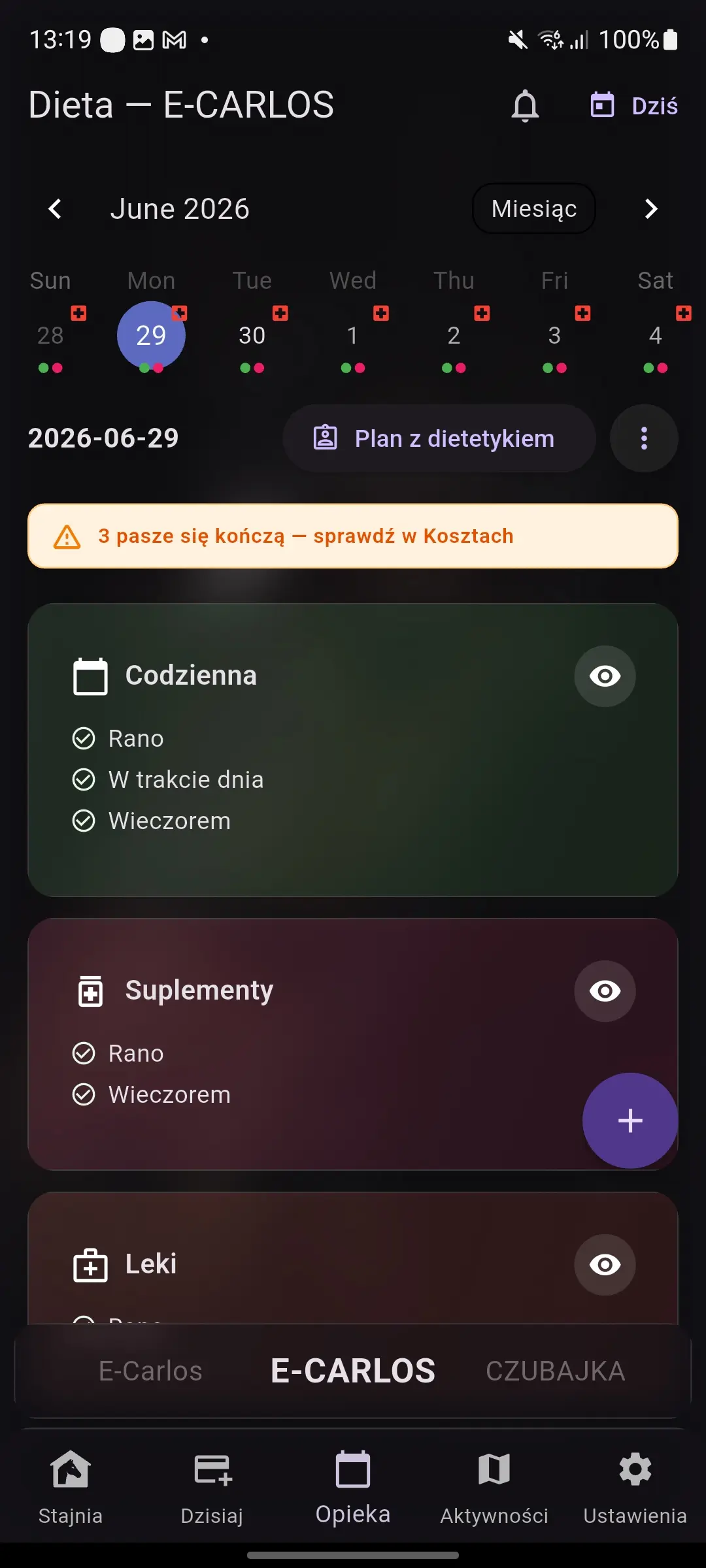 Ekran planowania diety w RideBuddy EQ
